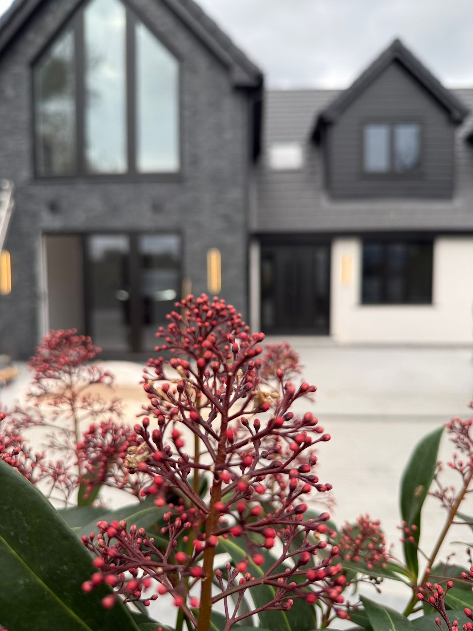 095e0923-dab5-4904-8851-45fc5598ba07